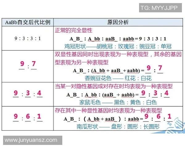 仿真球星制作足球的技术与工艺探究及其应用前景分析
